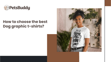 How to choose the best Dog graphic t-shirts?